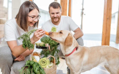 Maßgeschneiderte Ernährung: Ein Plus für deinen Hund